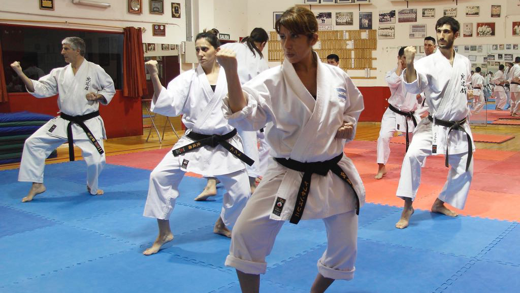 El karate, a pura actividad